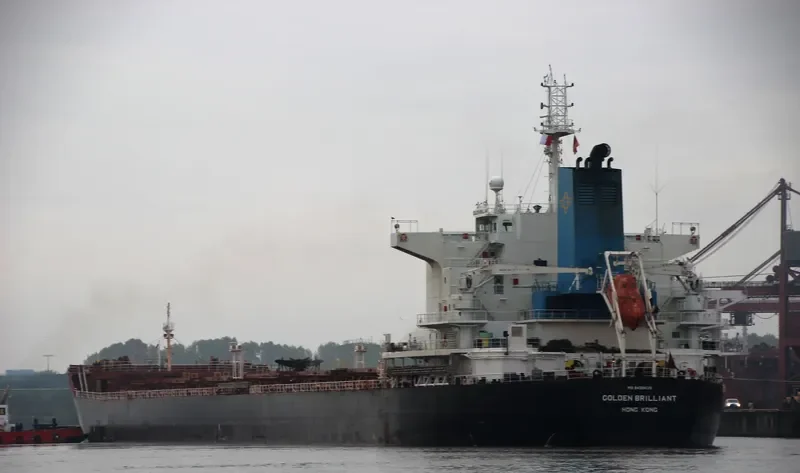 GOLDEN BRILLIANT Bulk Carrier IMO 9438638 photo 10