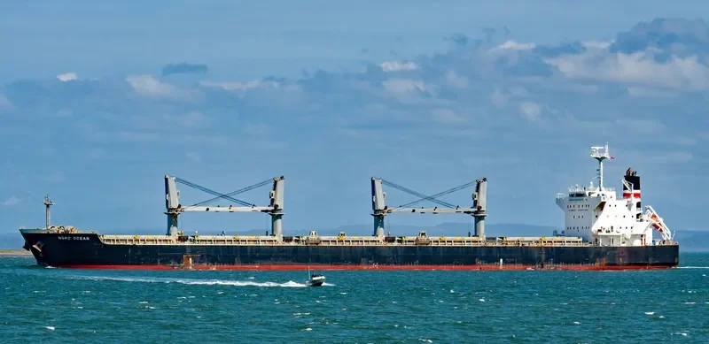 PVT DIAMOND Bulk Carrier IMO 9438640 photo 3