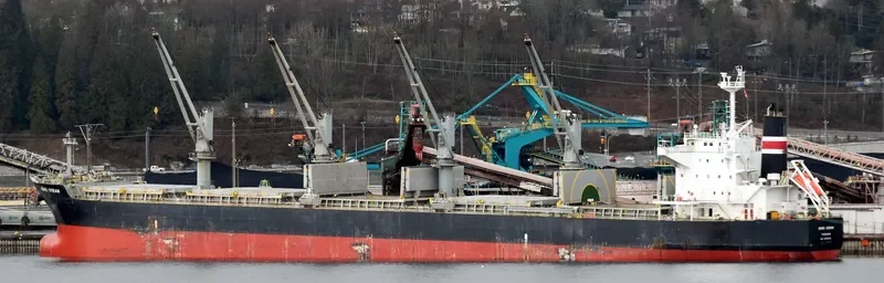 PVT DIAMOND Bulk Carrier IMO 9438640 photo 4