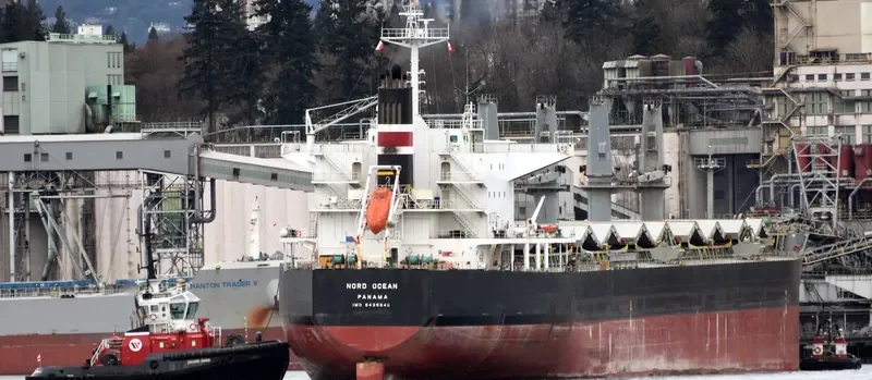 PVT DIAMOND Bulk Carrier IMO 9438640 photo 7