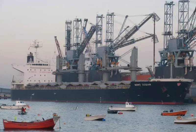 PVT DIAMOND Bulk Carrier IMO 9438640 photo 10