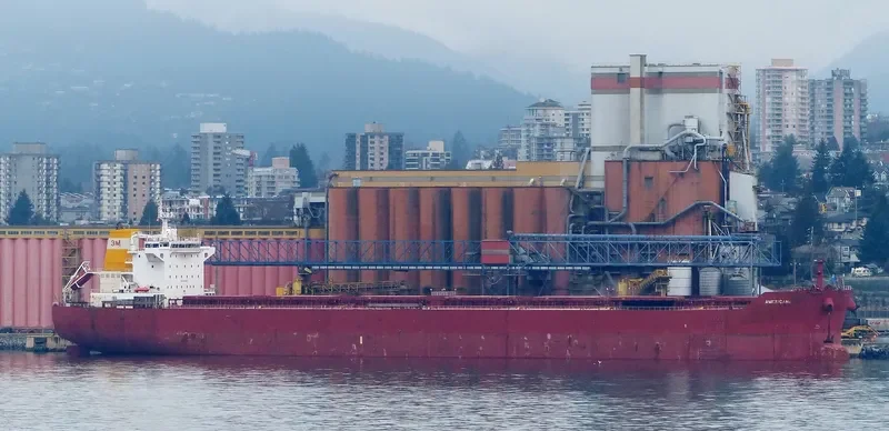AGIOS SPYRIDONAS Bulk Carrier IMO 9438676 photo 3