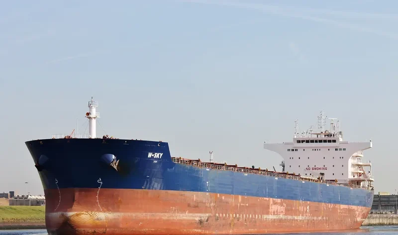 AGIOS SPYRIDONAS Bulk Carrier IMO 9438676 photo 7