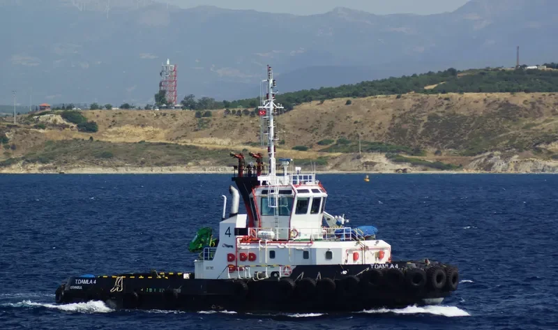 T.DAMLA 4 General Cargo IMO 9438690