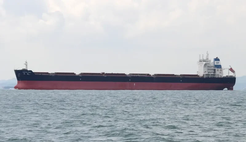 OCEAN RHEA Bulk Carrier IMO 9438729