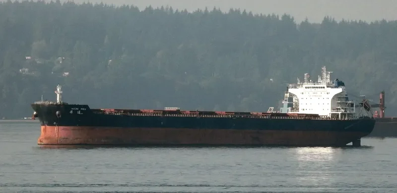 OCEAN RHEA Bulk Carrier IMO 9438729 photo 6