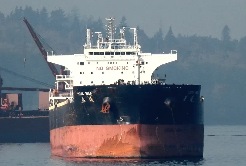 OCEAN RHEA Bulk Carrier IMO 9438729 photo 7