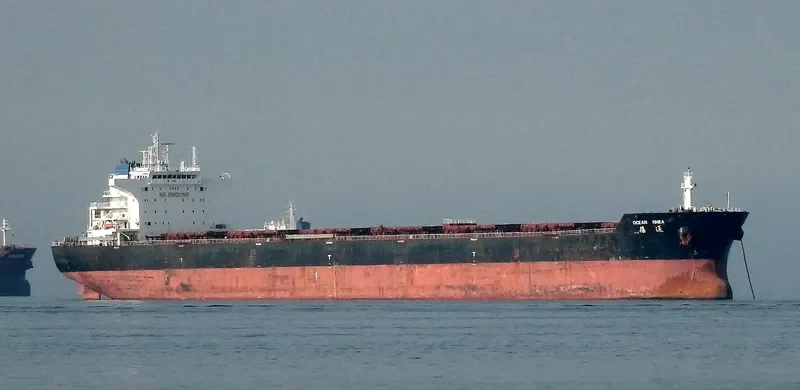 OCEAN RHEA Bulk Carrier IMO 9438729 photo 8