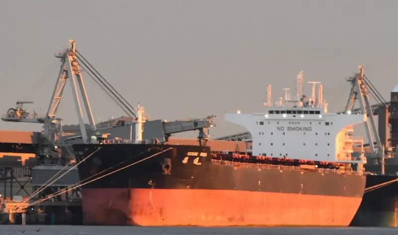 OCEAN RHEA Bulk Carrier IMO 9438729 photo 9