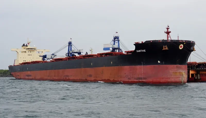IANTHE Bulk Carrier IMO 9438779 photo 2