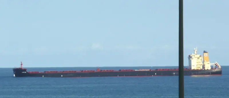 IANTHE Bulk Carrier IMO 9438779 photo 5