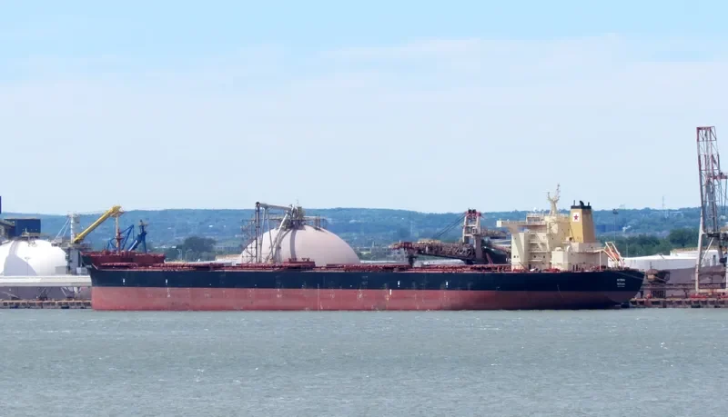 NYMPHE Bulk Carrier IMO 9438781 photo 7