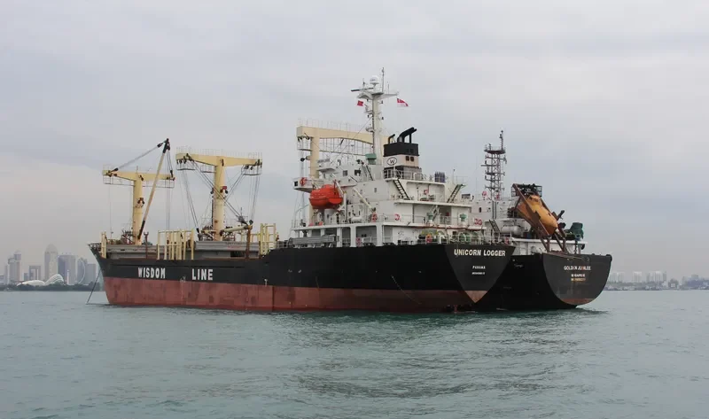 UNICORN LOGGER General Cargo IMO 9438810 photo 3