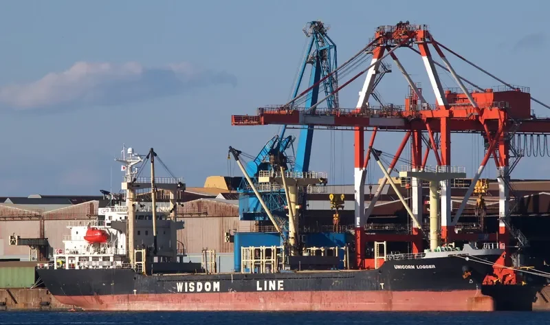 UNICORN LOGGER General Cargo IMO 9438810 photo 5