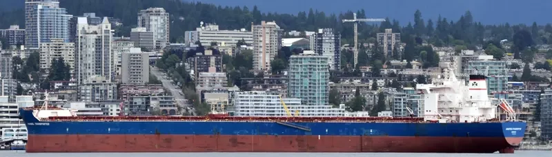 ANANGEL TRANSPORTER Bulk Carrier IMO 9439060 photo 3
