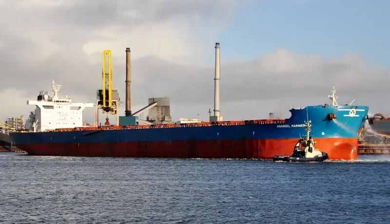 ANANGEL MARINER Bulk Carrier IMO 9439072 photo 3
