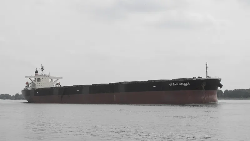 OCEAN CAESAR Bulk Carrier IMO 9439125 photo 7