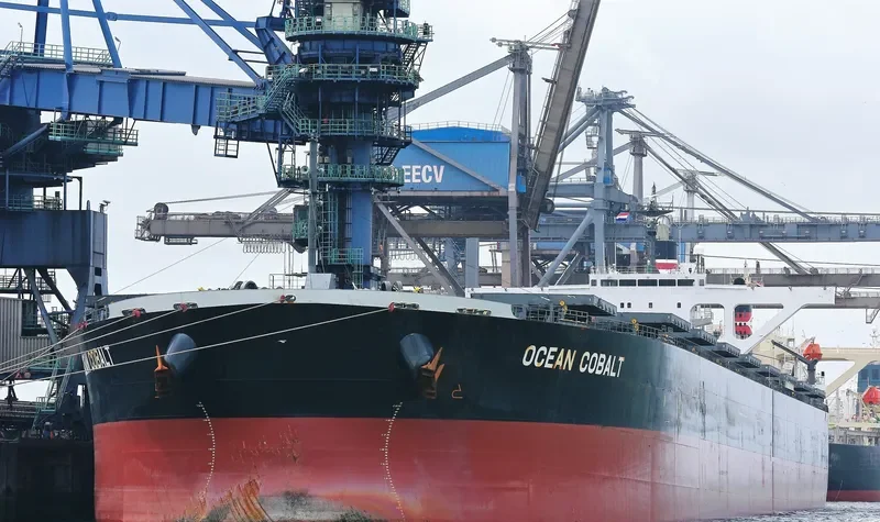 OCEAN COBALT Bulk Carrier IMO 9439137 photo 7