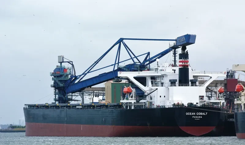 OCEAN COBALT Bulk Carrier IMO 9439137 photo 8