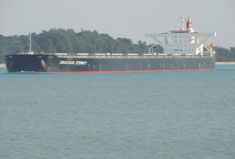 GRACIOUS ETERNITY Bulk Carrier IMO 9439149 photo 2