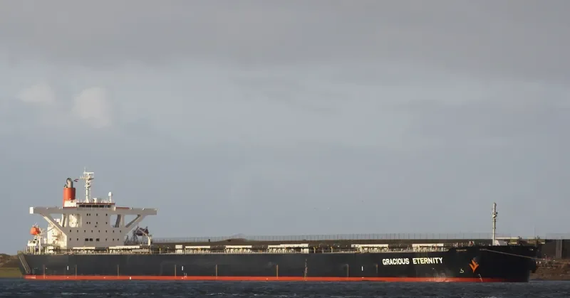 GRACIOUS ETERNITY Bulk Carrier IMO 9439149 photo 7