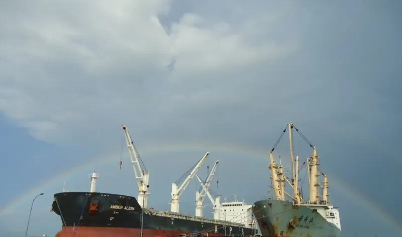 ZHONG CHANG 508 Bulk Carrier IMO 9439228