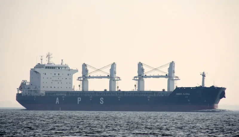 ZHONG CHANG 508 Bulk Carrier IMO 9439228 photo 10