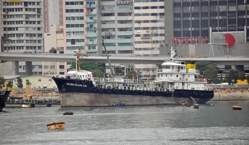 GOLDEN DRAGON 238 General Cargo IMO 9439448