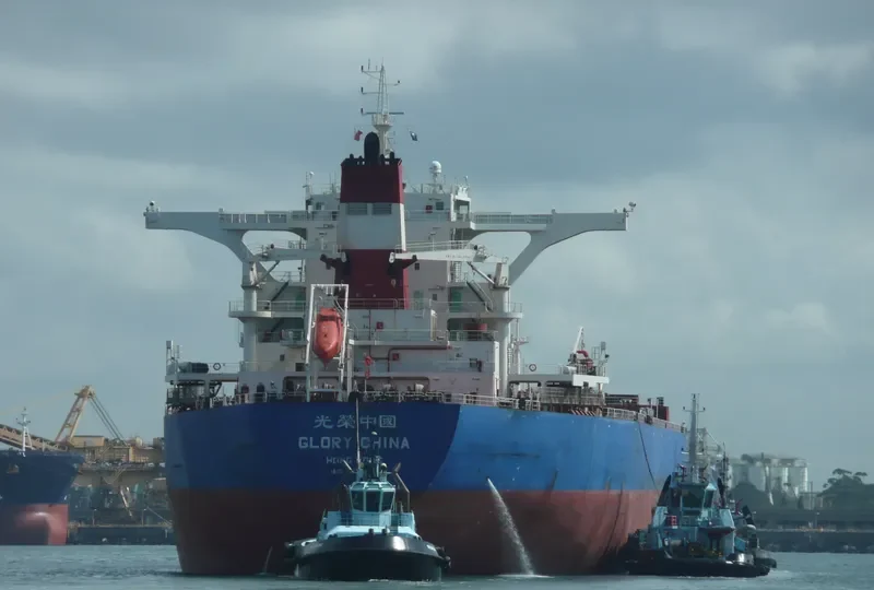 TIGER JIANGSU Bulk Carrier IMO 9439589 photo 4