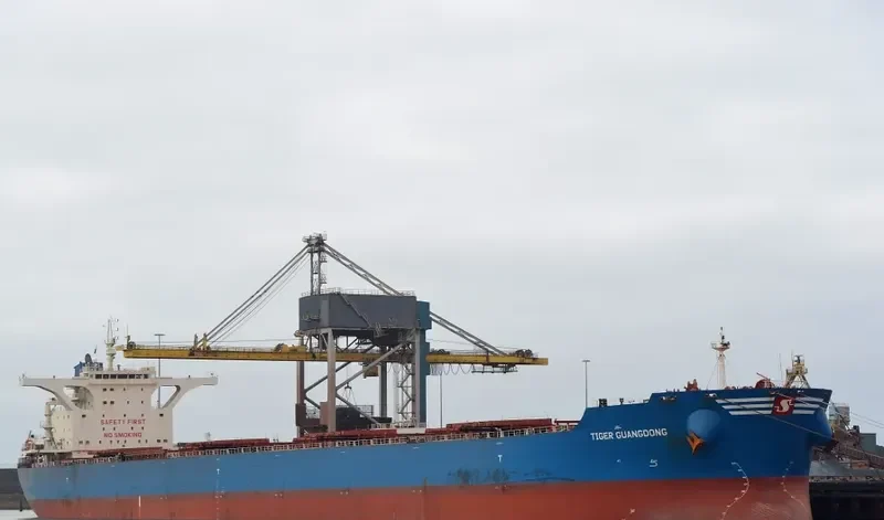 TIGER GUANGDONG Bulk Carrier IMO 9439606 photo 2