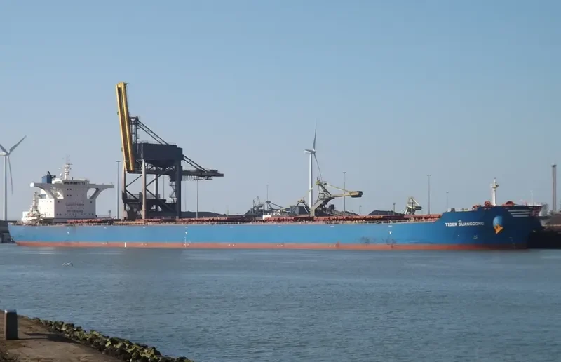TIGER GUANGDONG Bulk Carrier IMO 9439606 photo 6