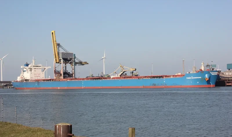 TIGER GUANGDONG Bulk Carrier IMO 9439606 photo 8