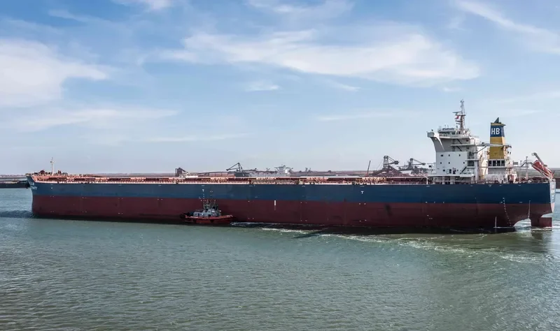 HEBEI DYNASTY Bulk Carrier IMO 9439618 photo 2
