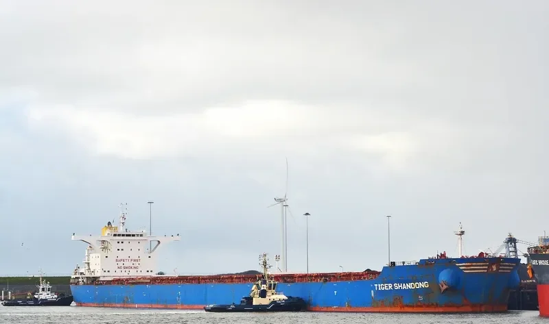 BARBARIAN HONOR Bulk Carrier IMO 9439620