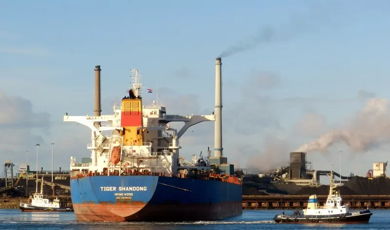 BARBARIAN HONOR Bulk Carrier IMO 9439620 photo 3