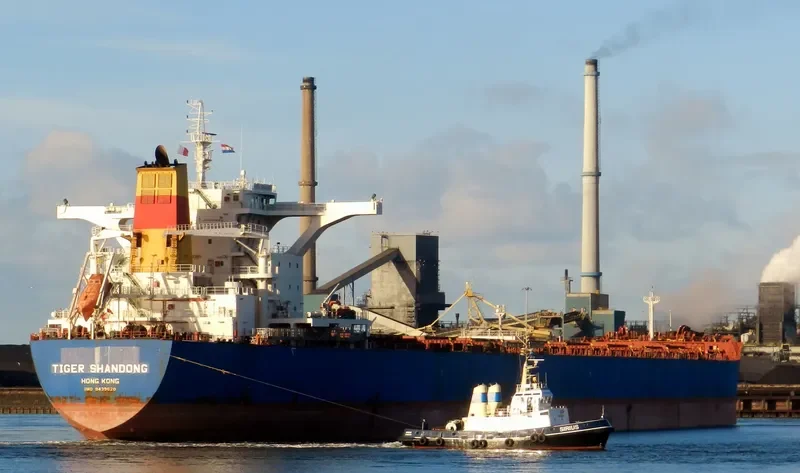 BARBARIAN HONOR Bulk Carrier IMO 9439620 photo 5