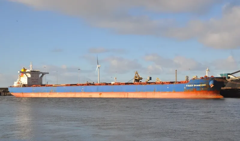 BARBARIAN HONOR Bulk Carrier IMO 9439620 photo 8