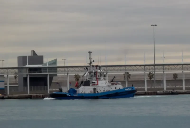 MONTALT General Cargo IMO 9439682 photo 7