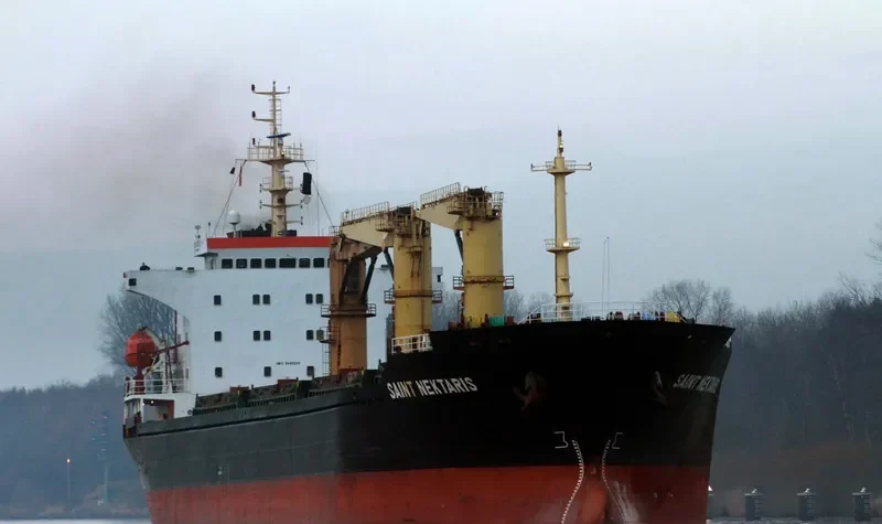 SAINT NEKTARIS Bulk Carrier IMO 9440291 photo 3
