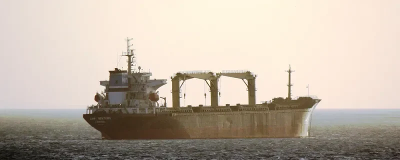 SAINT NEKTARIS Bulk Carrier IMO 9440291 photo 6