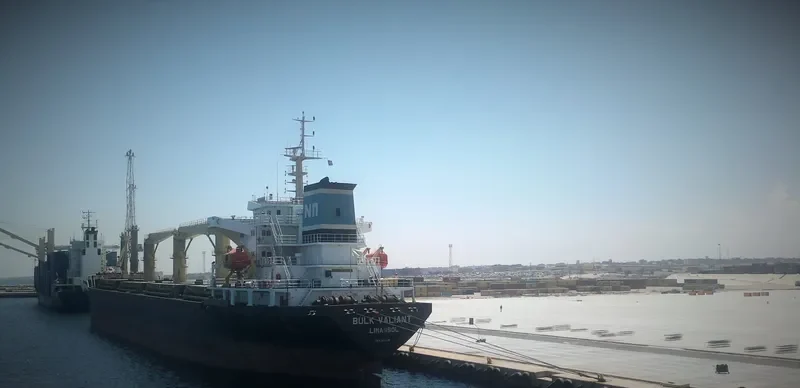 SEA MAGIC Bulk Carrier IMO 9440318