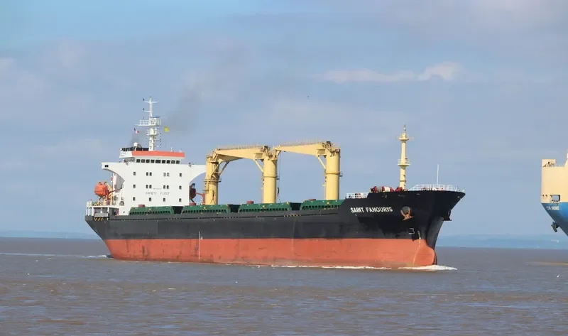SEA MAGIC Bulk Carrier IMO 9440318 photo 3