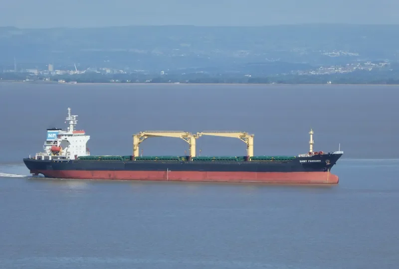 SEA MAGIC Bulk Carrier IMO 9440318 photo 4