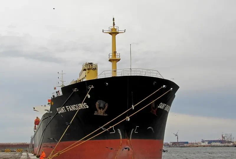SEA MAGIC Bulk Carrier IMO 9440318 photo 8