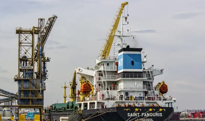 SEA MAGIC Bulk Carrier IMO 9440318 photo 9