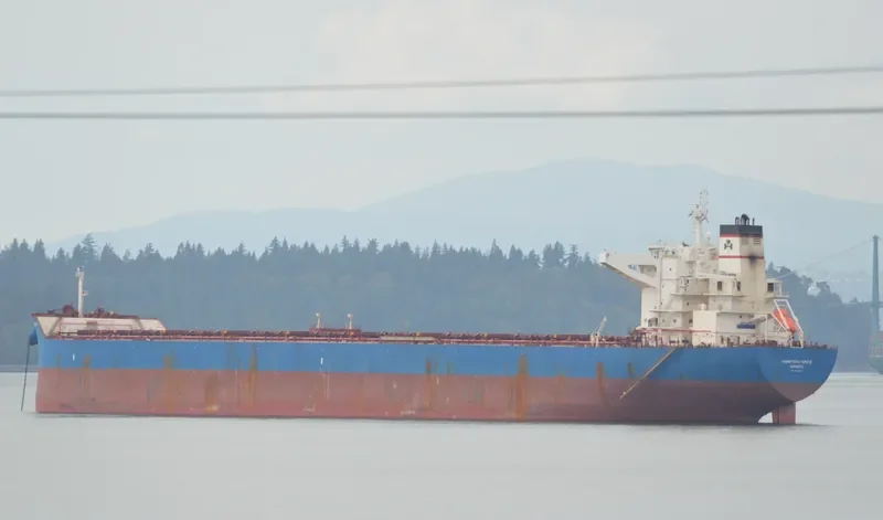 ANANGEL GRACE Bulk Carrier IMO 9440320 photo 2