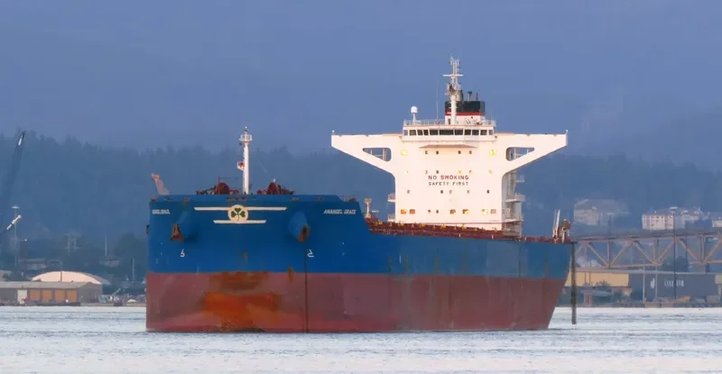 ANANGEL GRACE Bulk Carrier IMO 9440320 photo 4