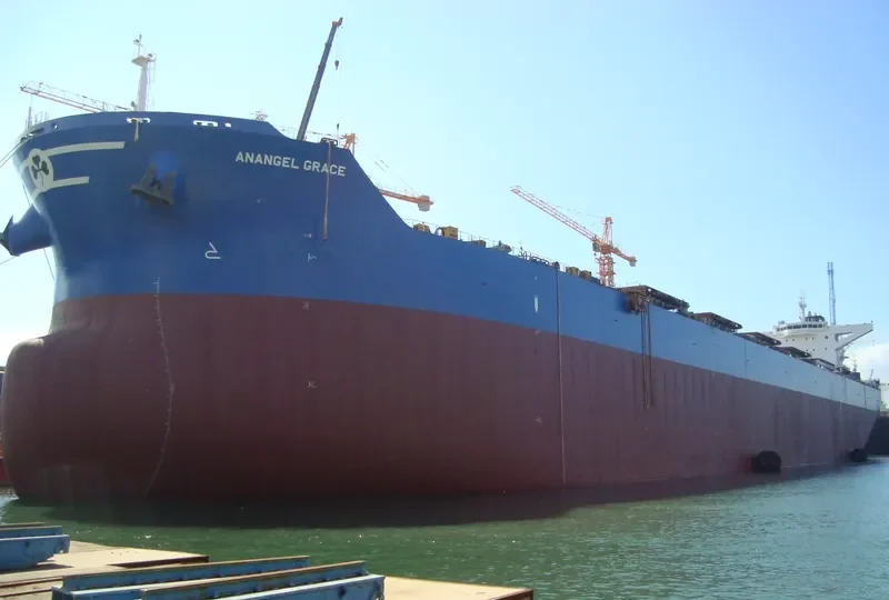 ANANGEL GRACE Bulk Carrier IMO 9440320 photo 7