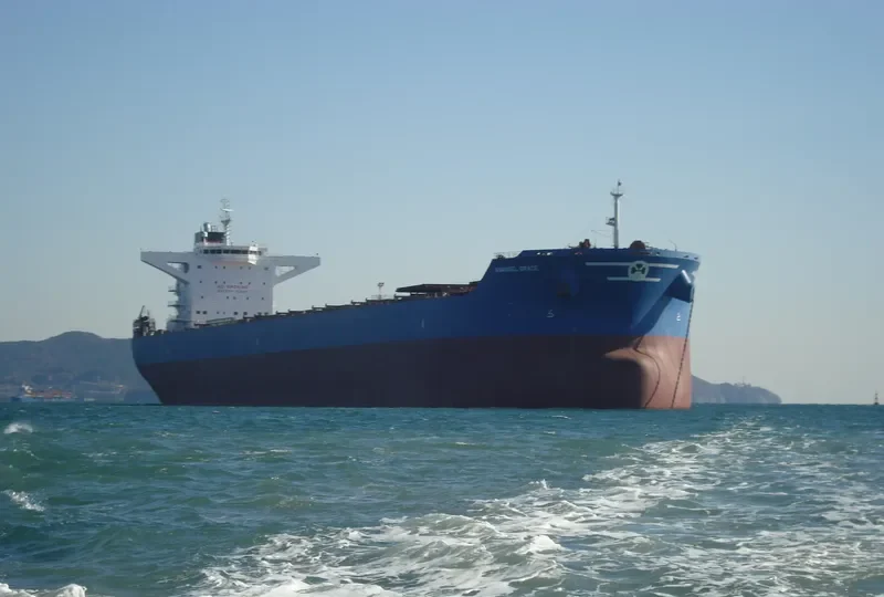 ANANGEL GRACE Bulk Carrier IMO 9440320 photo 9