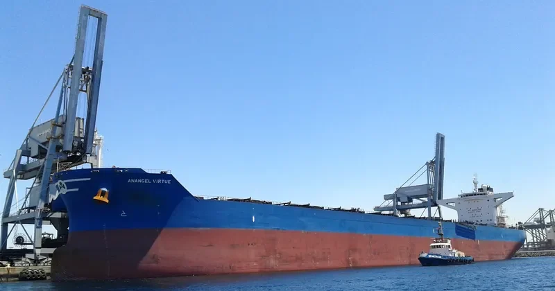 ANANGEL VIRTUE Bulk Carrier IMO 9440332 photo 2